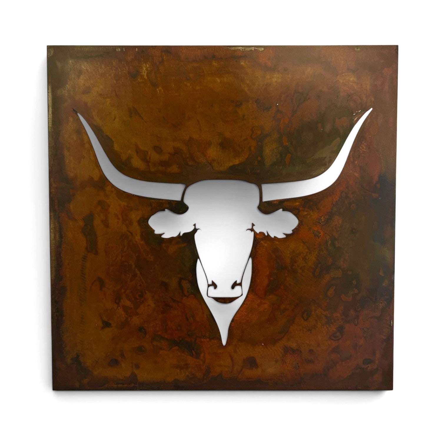 Stoic Longhorn