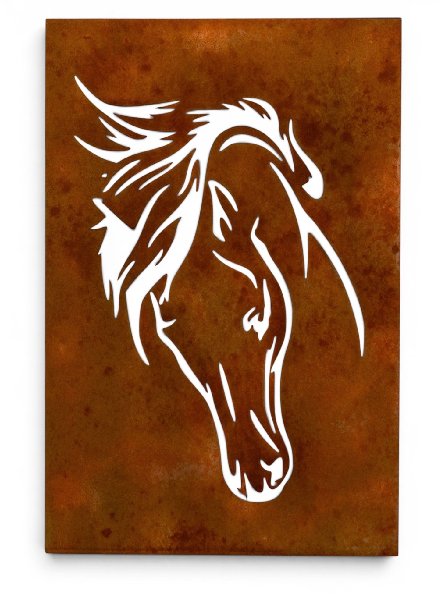 Playful Stallion